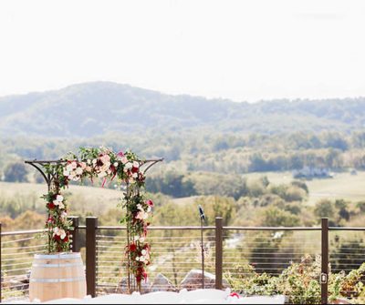 blue-valley-vineyard-wedding-scenery-delaplane-va-9